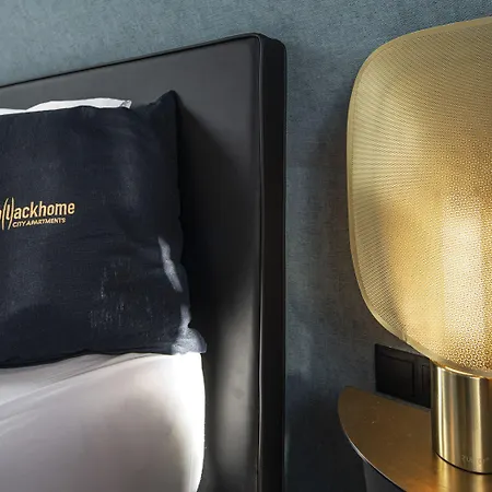 شقة فندقية Blackhome East I Contactless Check-in إنسبروك